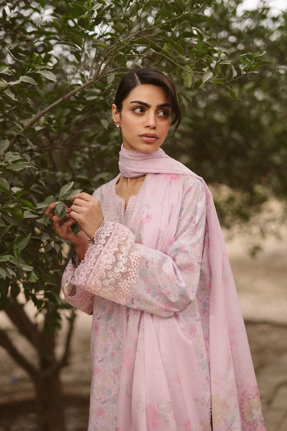 Core Lawn Collection - Image 4