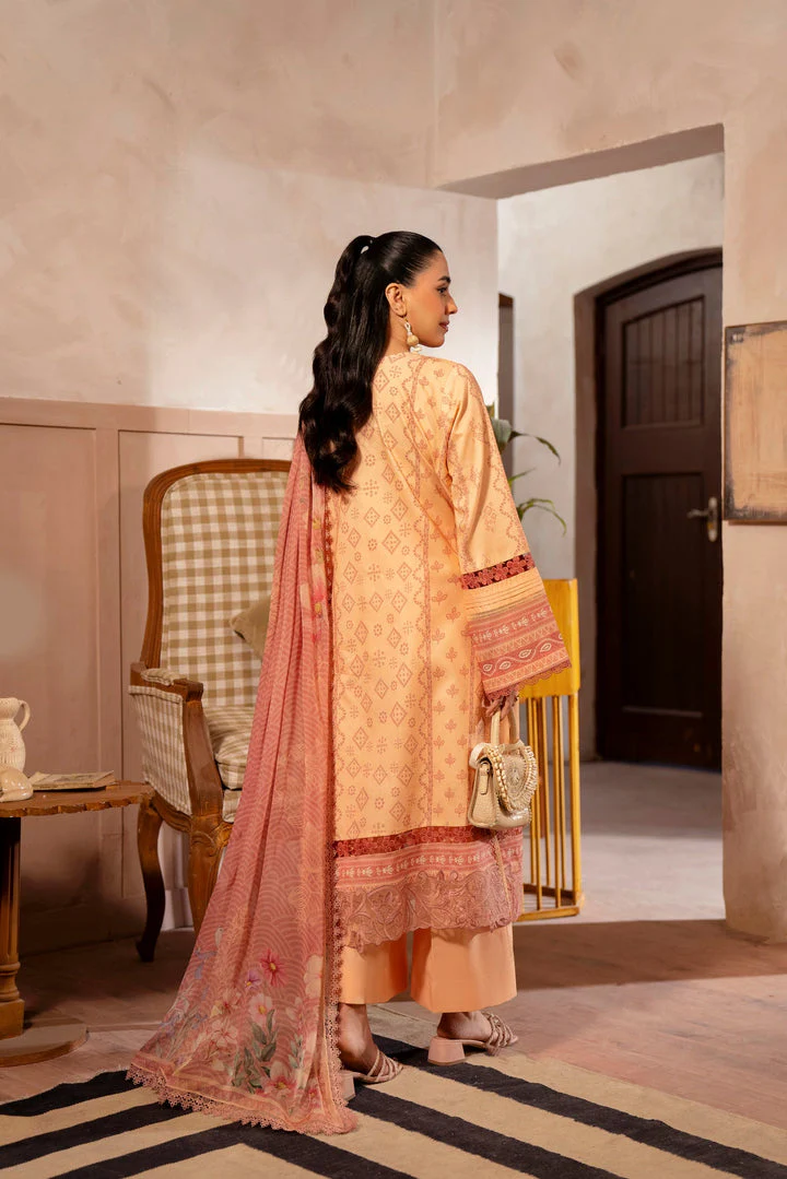 Daily Wear Collections - Image 2