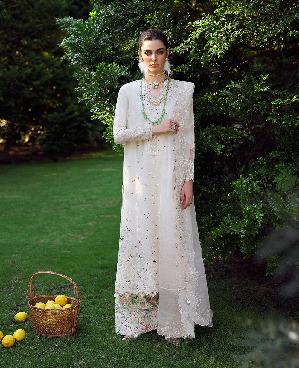 Jacquard Embroidered Ensemble