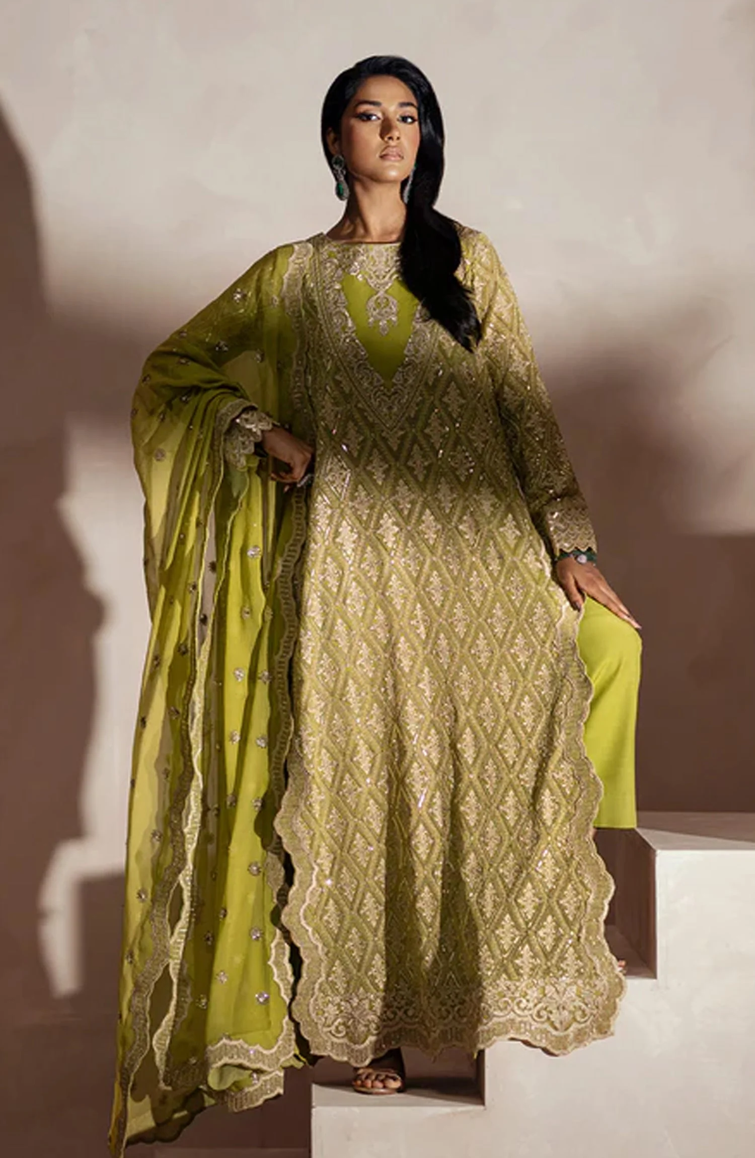 Mehrun Luxury Chiffon - Image 3