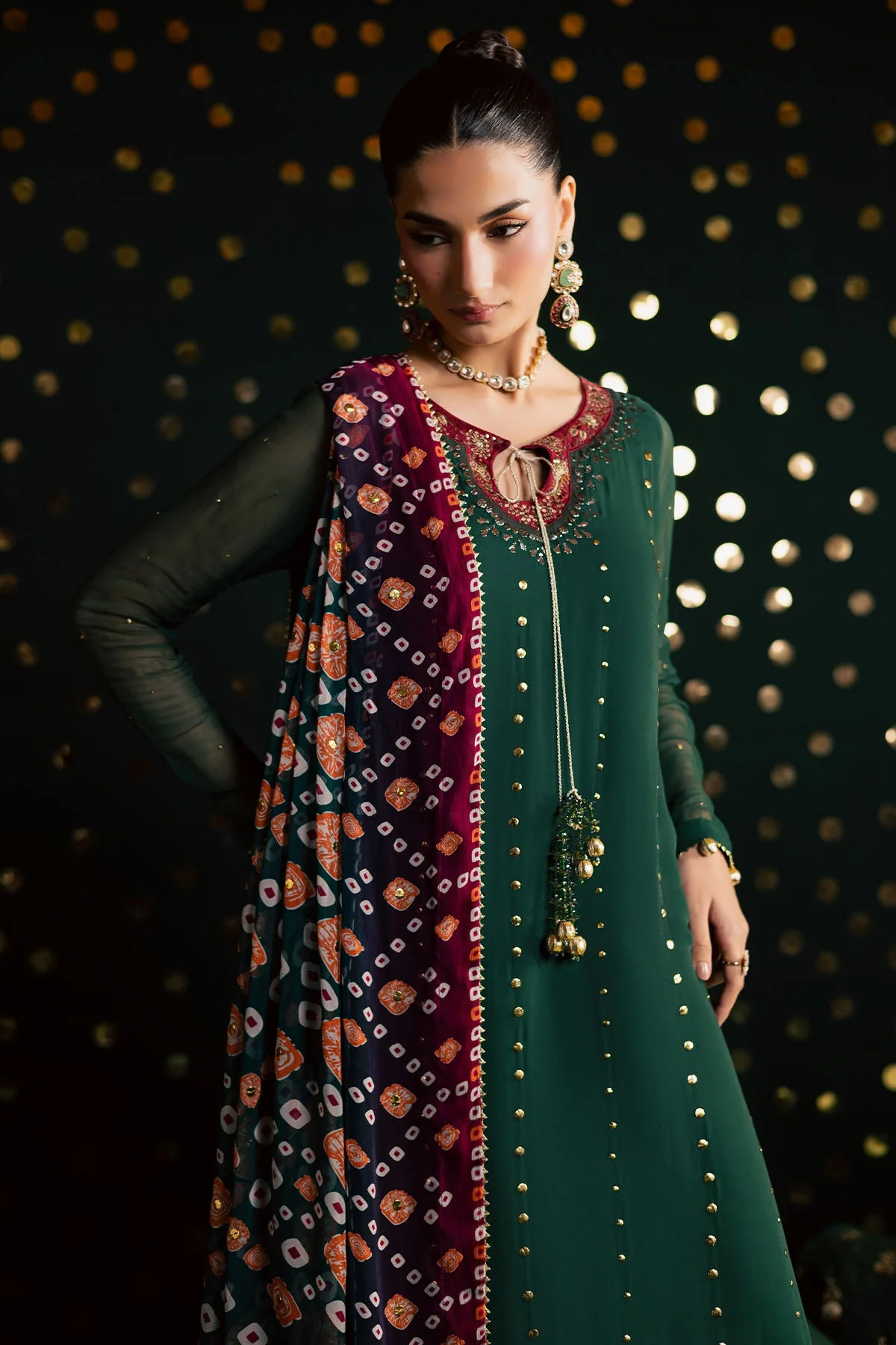 Mukeshkari Embroidered Chiffon - Image 5