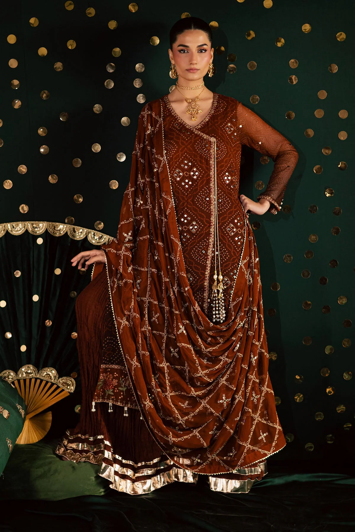 Mukeshkari Embroidered Chiffon - Image 4