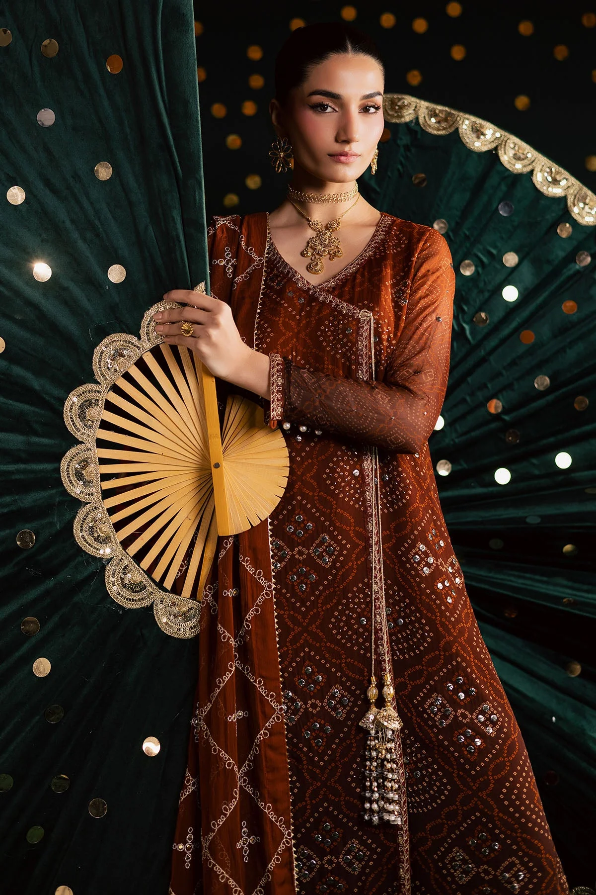 Mukeshkari Embroidered Chiffon - Image 5