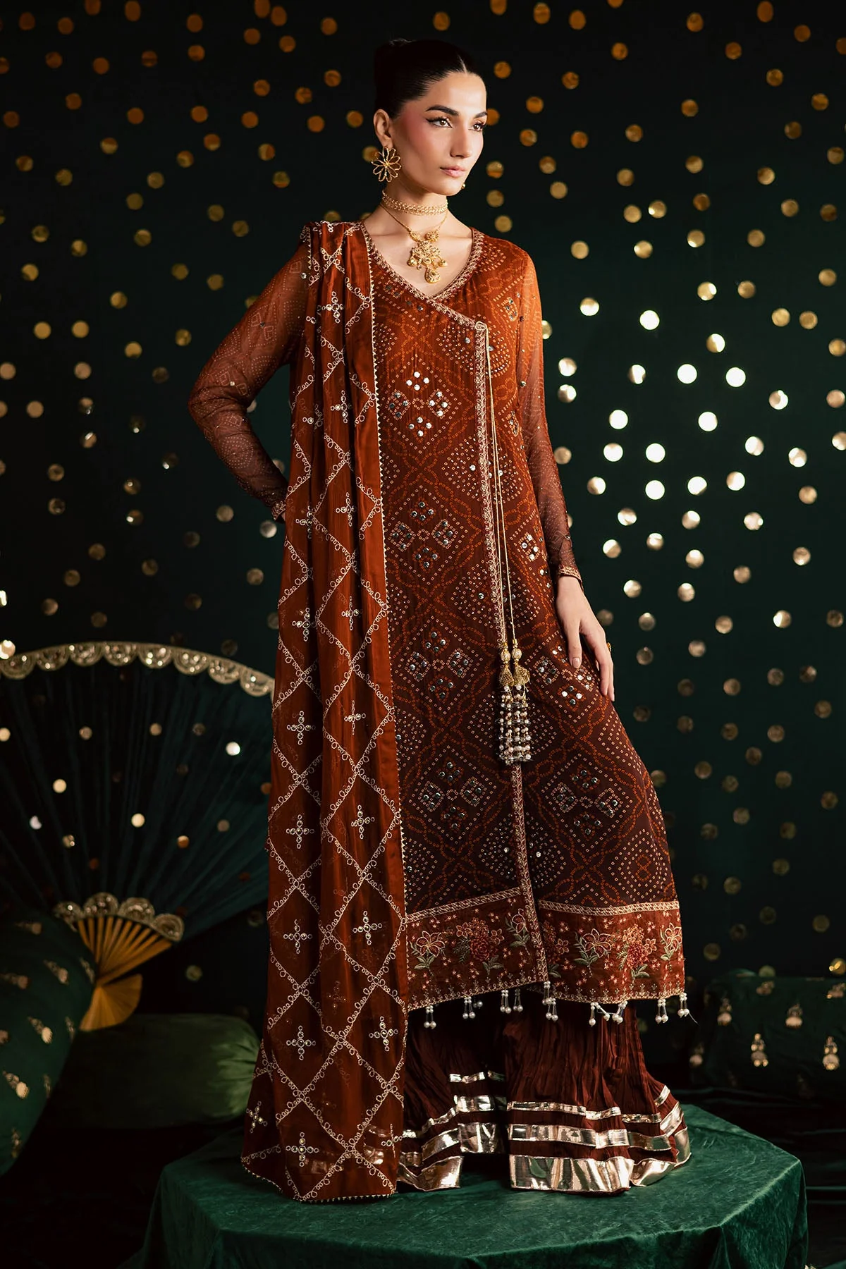 Mukeshkari Embroidered Chiffon - Image 6