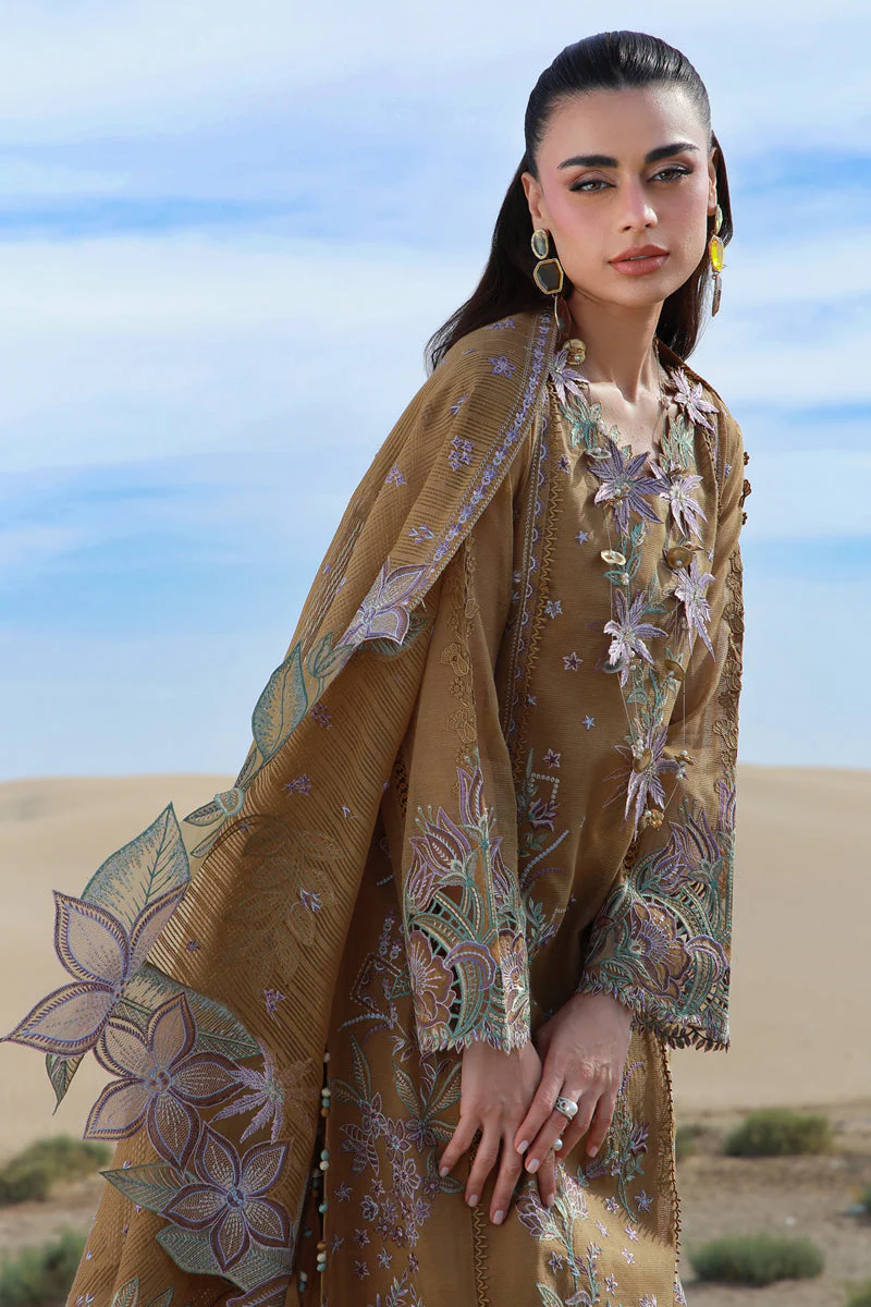 Premium Summer Collection - Image 5
