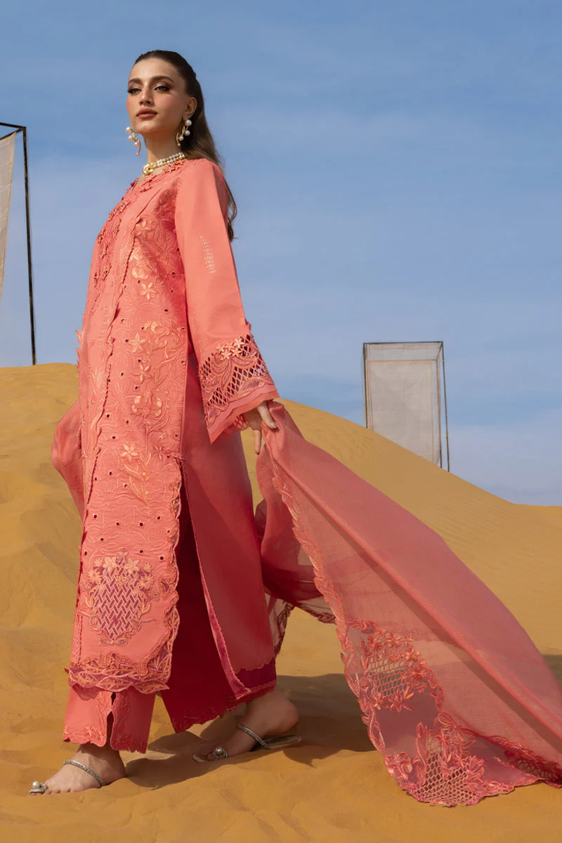 Premium Summer Collection - Image 2