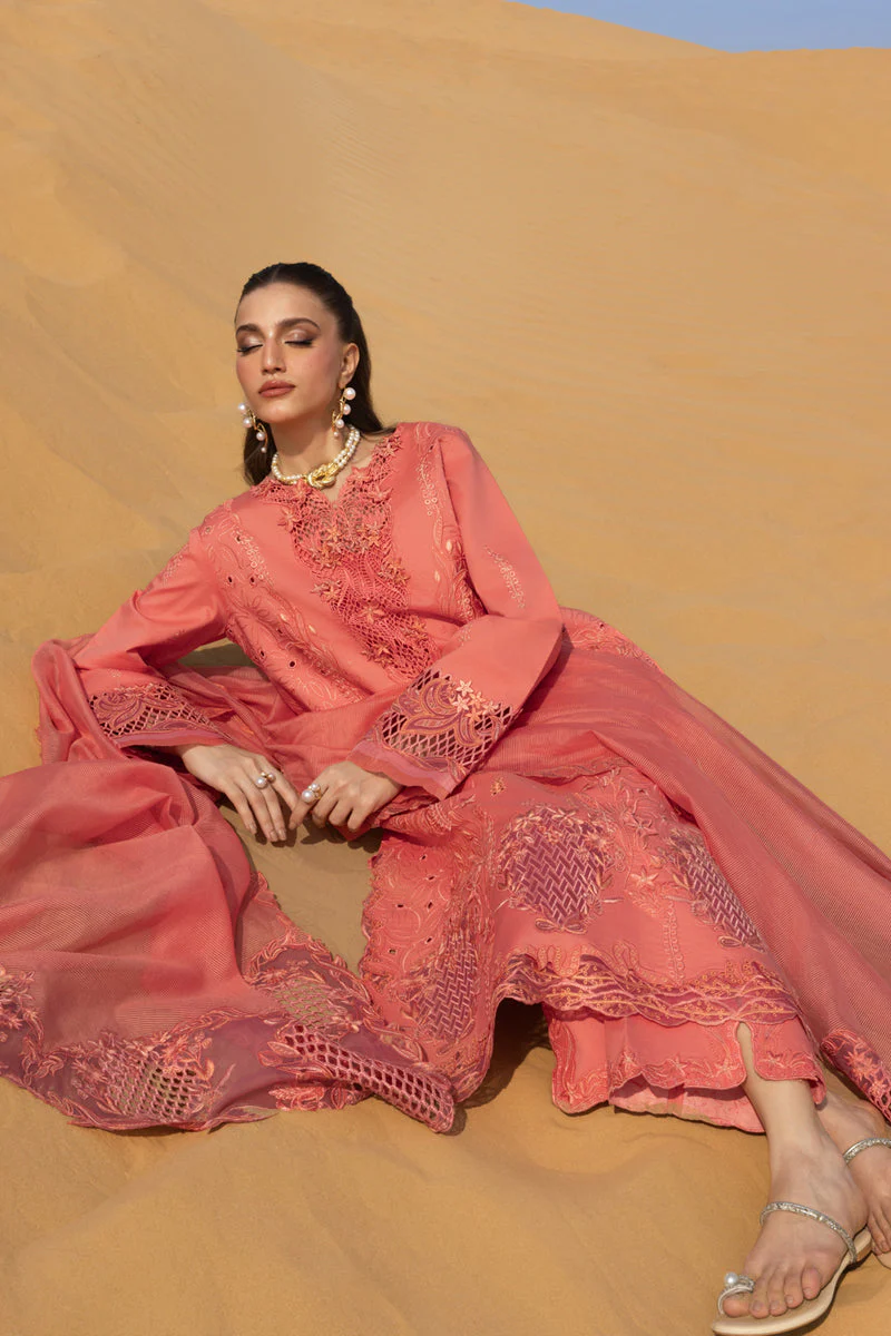 Premium Summer Collection - Image 4