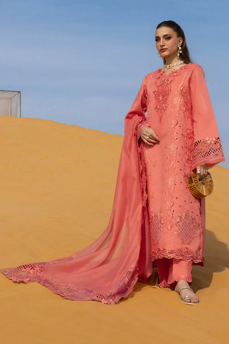 Premium Summer Collection - Image 6