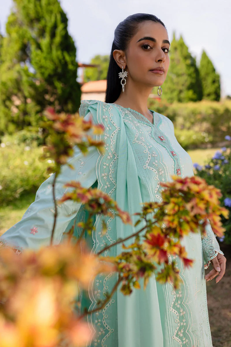 Qline Summer Collection - Image 4