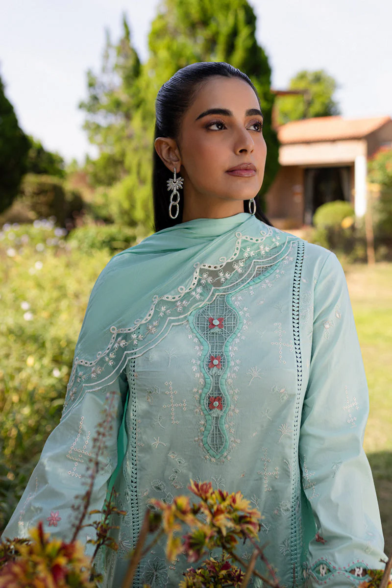 Qline Summer Collection - Image 7