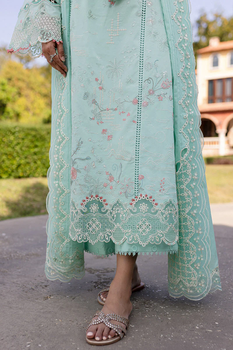 Qline Summer Collection - Image 8