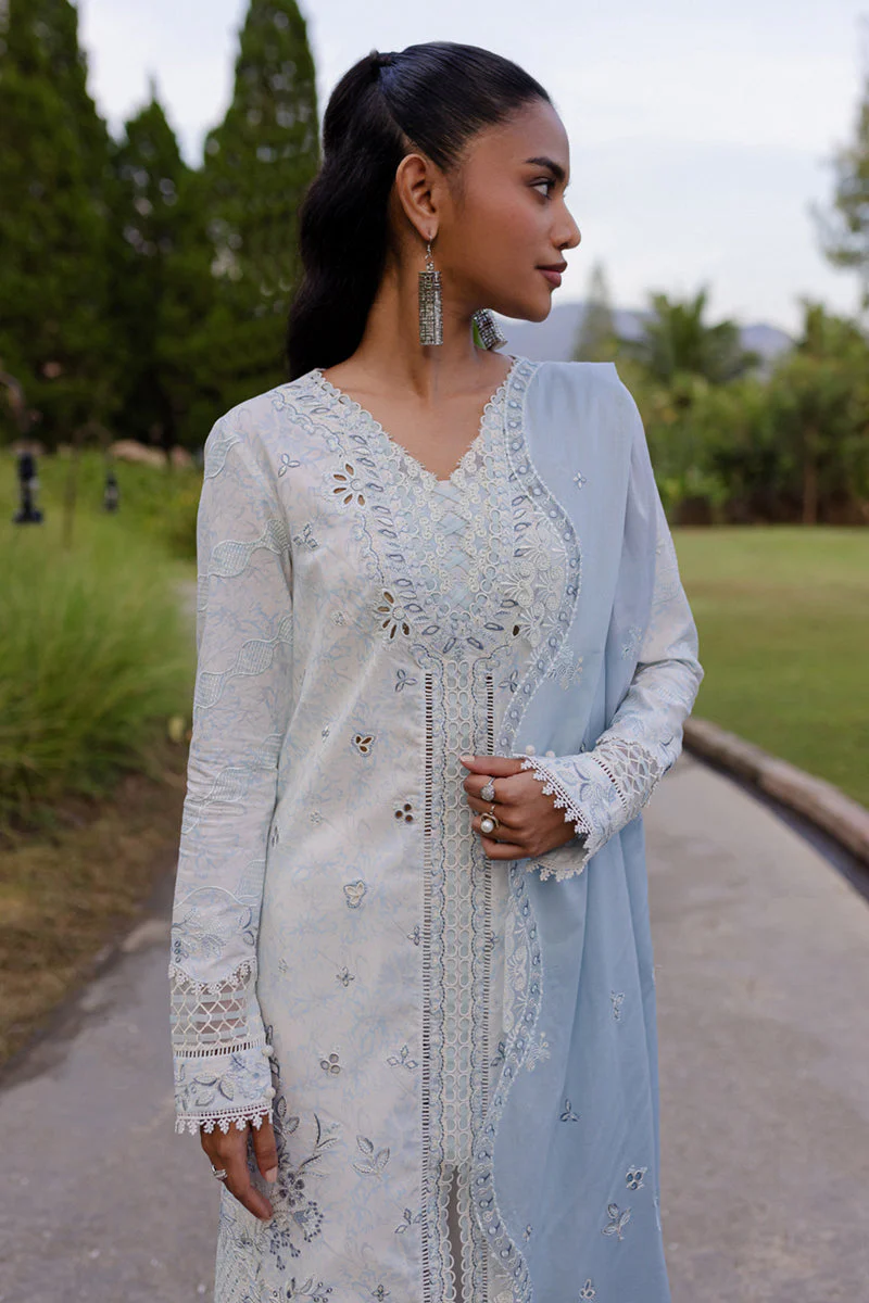 Qline Summer Collection - Image 4