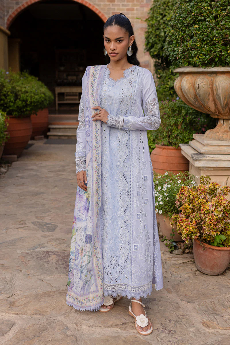 Qline Summer Collection - Image 4