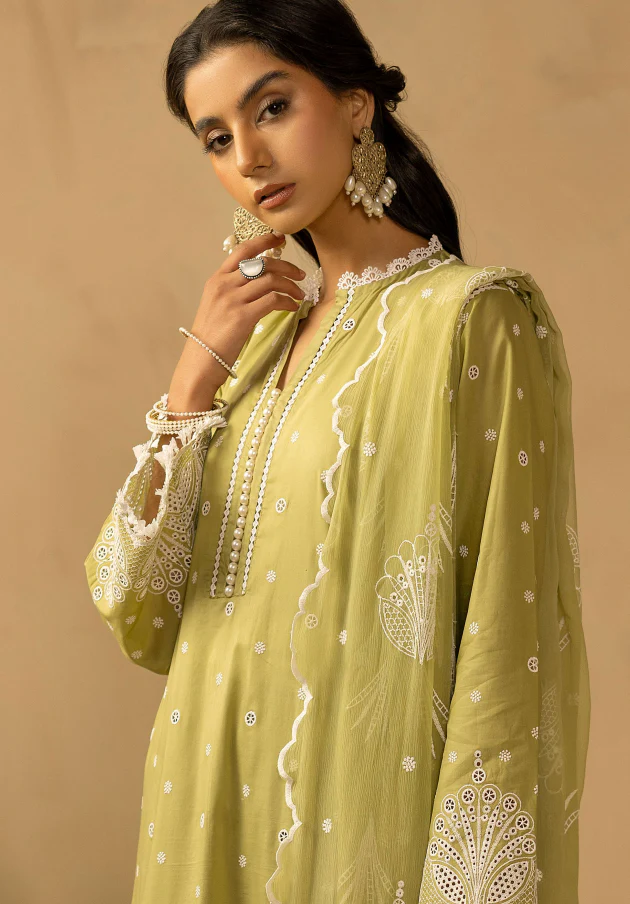 Signature Lawn Collection - Image 3