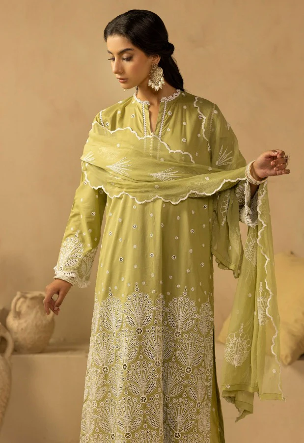 Signature Lawn Collection - Image 4
