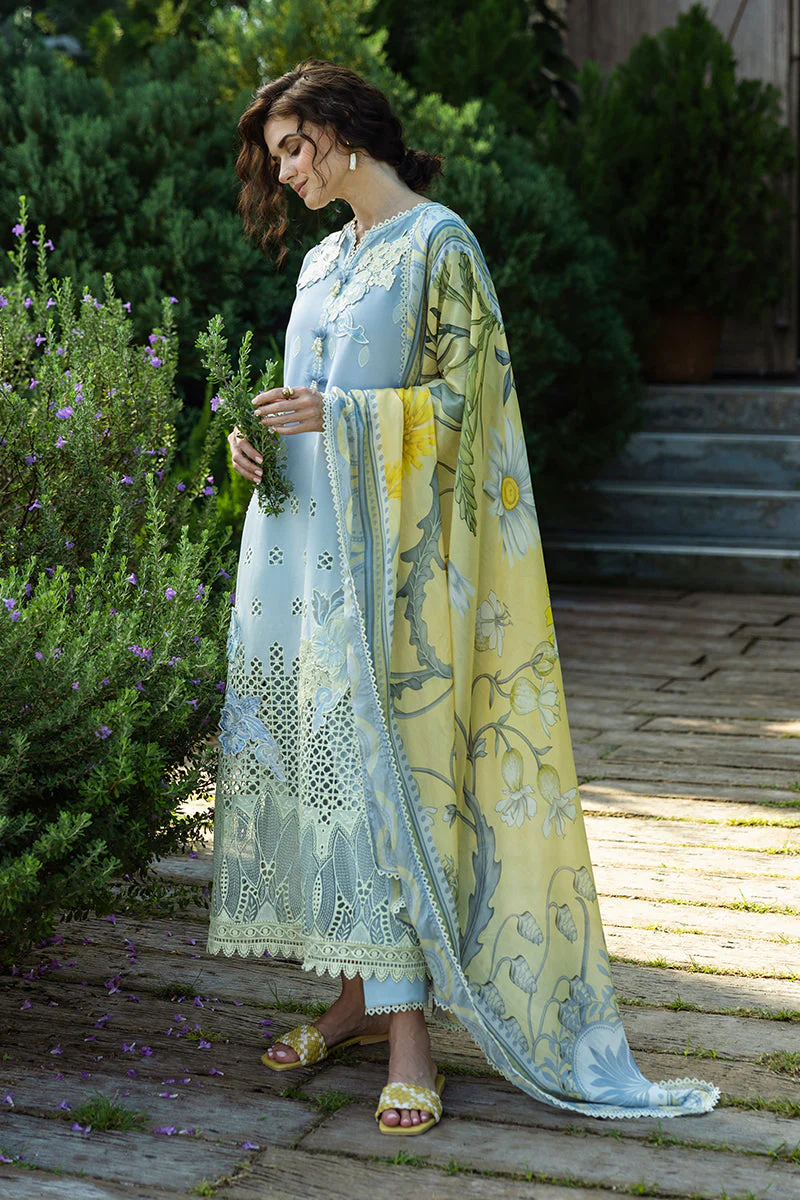 Solace Ombre Chikankari - Image 11